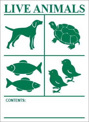 animal animal