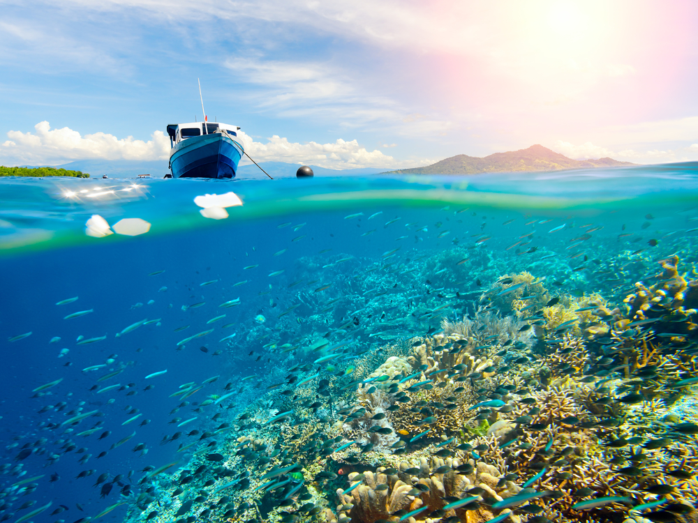 TN Bunaken, Bunaken Marine Park, Sulawesi Utara,